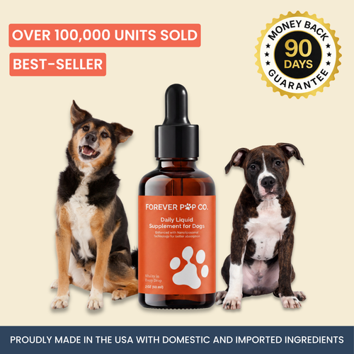 The Science-Backed Protocol to Boost Dog Health Span