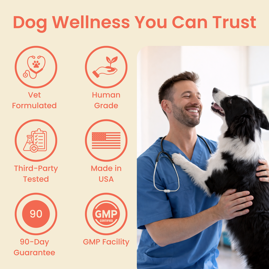 The Science-Backed Protocol to Boost Dog Health Span